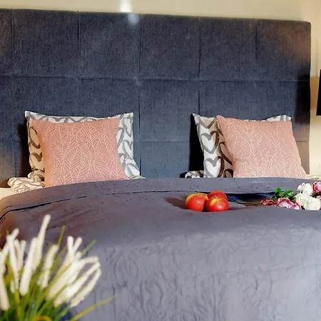 402 W Pieciogwiazdkowym Royal Tulip 200m Plaza Dobruk *